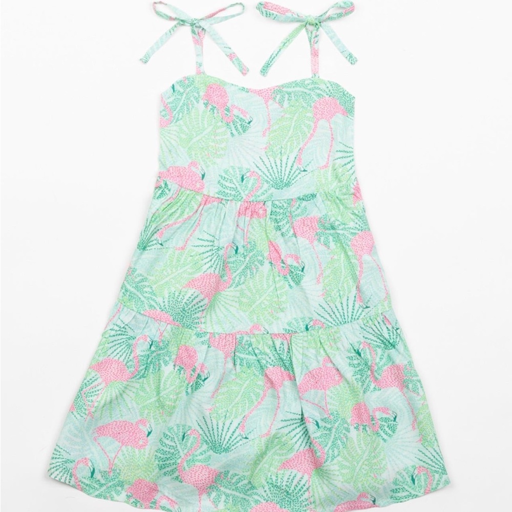Kenny Flowers The Sunshine State Dress 12 months